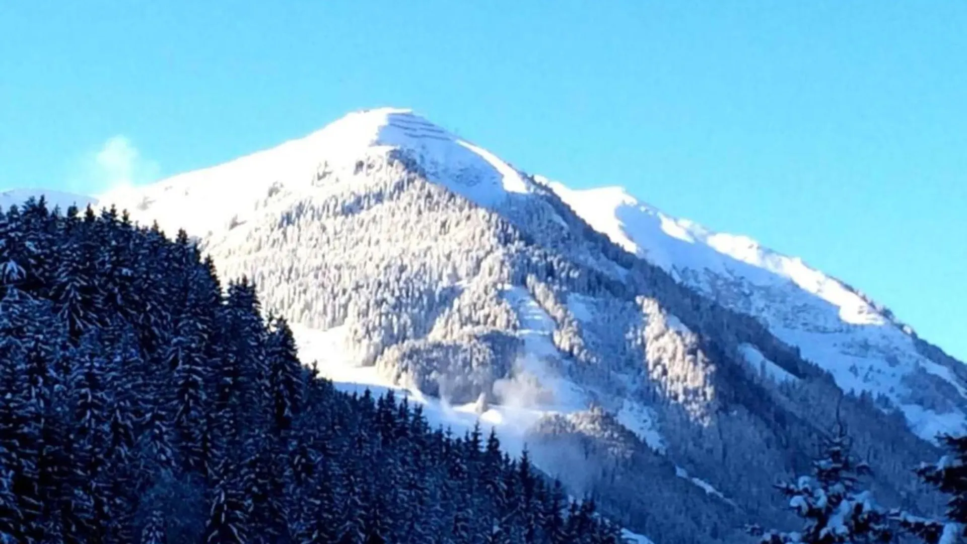 Apartment In Saalbach Hinterglemm Near Ski Area Austria