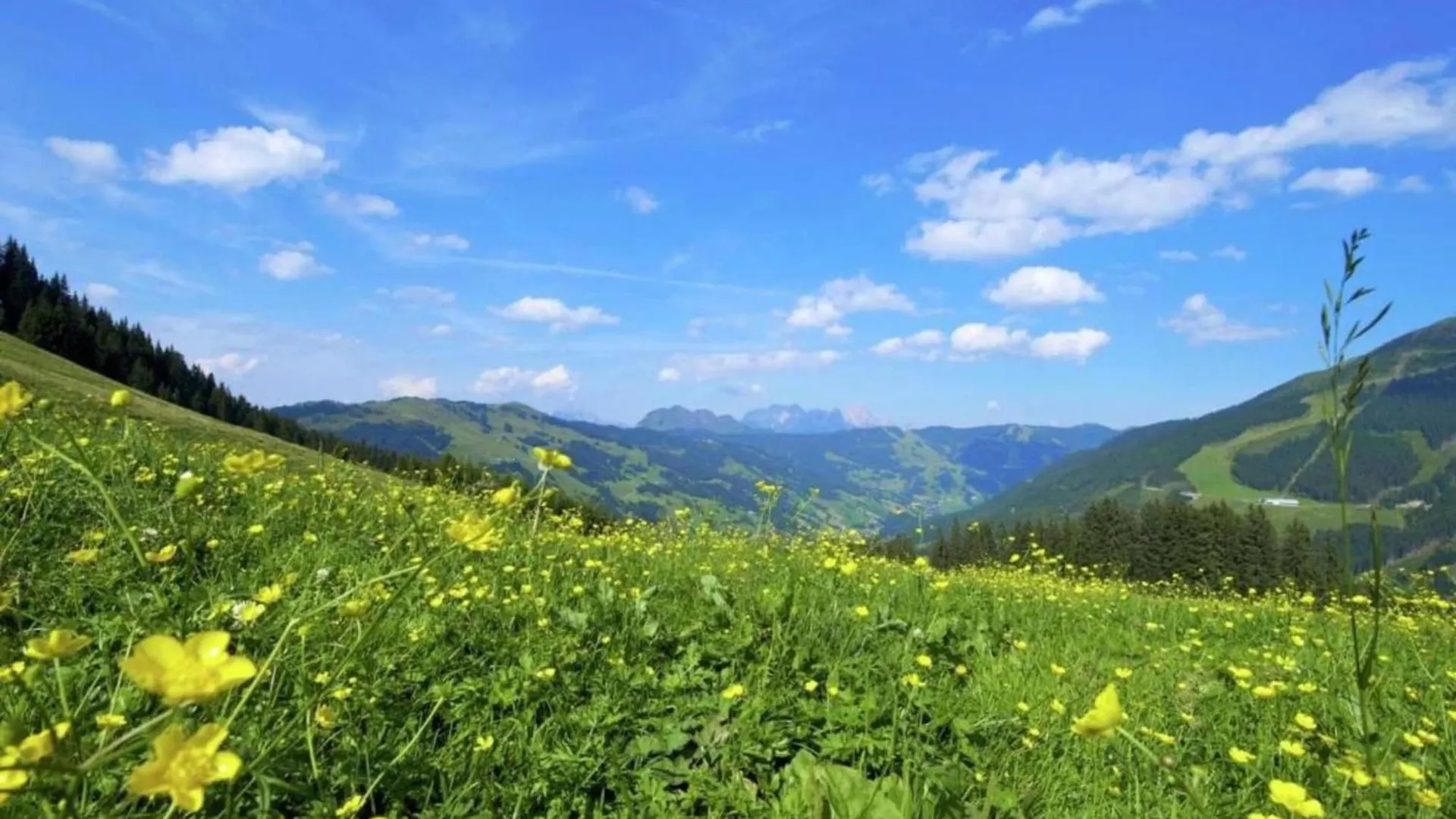 Apartment In Saalbach Hinterglemm Near Ski Area