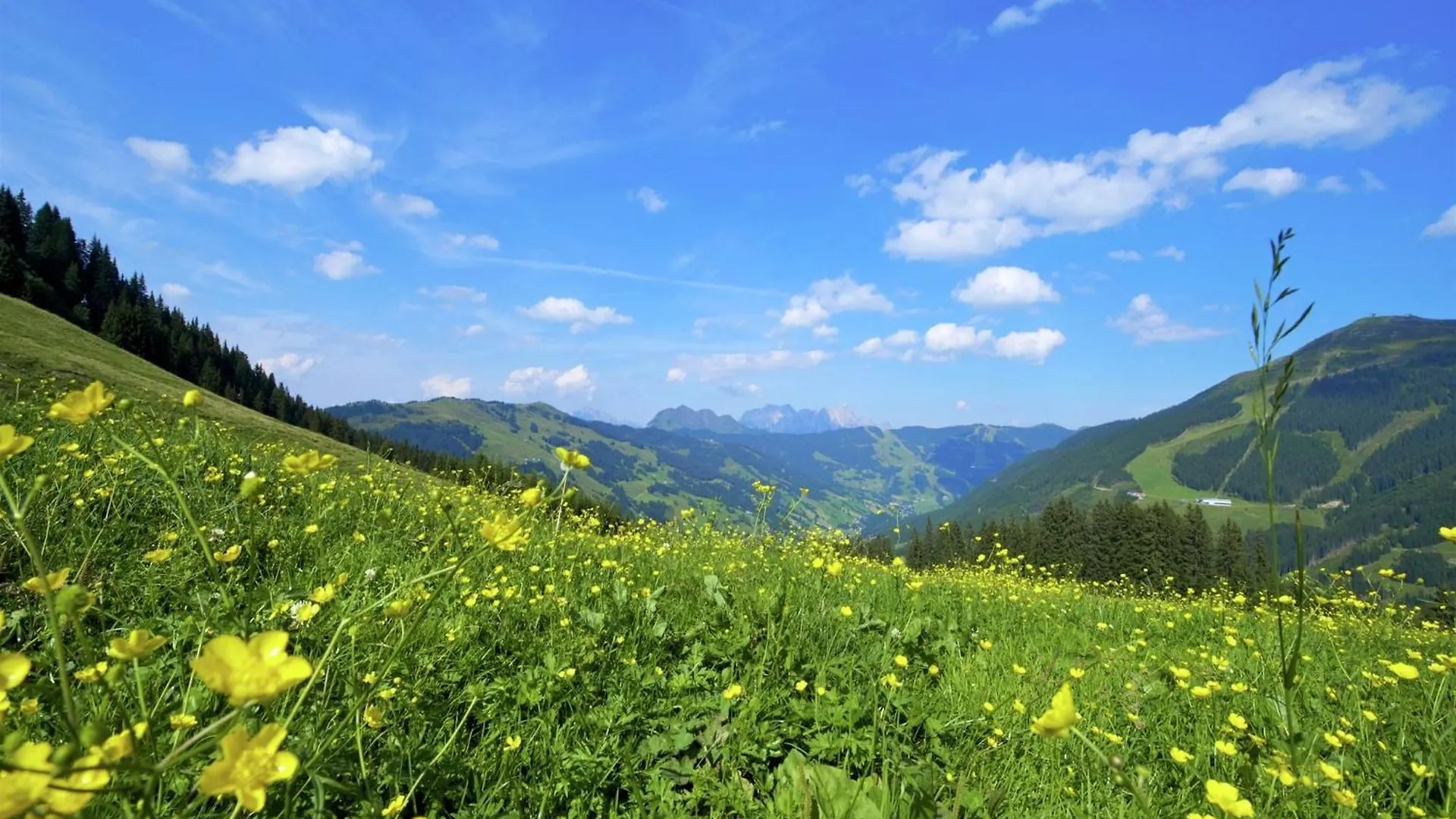 Apartment In Saalbach Hinterglemm Near Ski Area 0*, Saalbach-Hinterglemm Austria